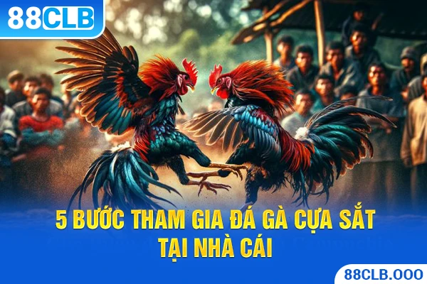 5 bước tham gia đá gà cựa sắt tại nhà cái